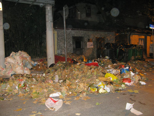 Shanghai leaves and rubbish